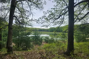 9736 S Trillium Trail, Baldwin, MI 49304 - Photo 14