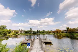 773 Peninsula Ct, Ann Arbor, MI 48105 - Photo 36