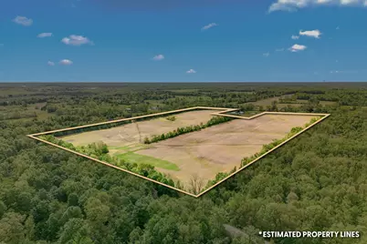 0 Bankers Rd, Hillsdale, MI 49242 - Photo 4