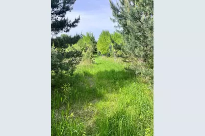 3085 Atlas Road, Davison, MI 48423 - Photo 36
