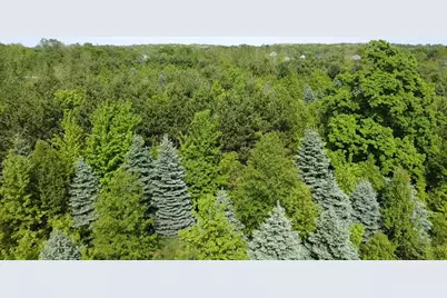 3085 Atlas Road, Davison, MI 48423 - Photo 20