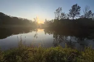 3775 16 Mile, Marion, MI 49665 - Photo 32