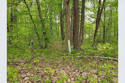 00 Buck Lane #66, Harrison, MI 48625 - Photo 4