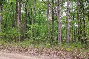 00 Buck Ln, Harrison, MI 48625 - Photo 1