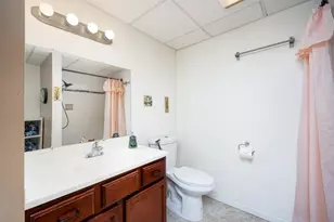 3339 Elsinore Ct, Ann Arbor, MI 48105 - Photo 44