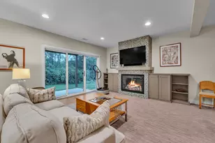3220 Chamberlain Cir, Ann Arbor, MI 48103 - Photo 46