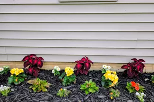 66 Oakwood Dr, Coldwater, MI 49036 - Photo 26