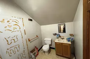 213 Clinton St, Dowagiac, MI 49047 - Photo 14