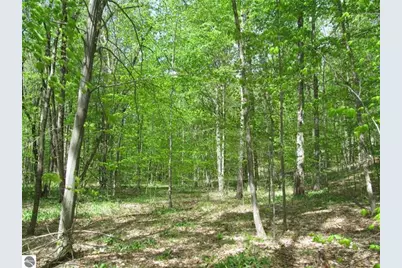 00 M-115, Tustin, MI 49688 - Photo 6