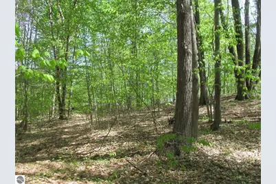 00 M-115, Tustin, MI 49688 - Photo 12