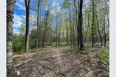 V/L 3 Mile Road, Sears, MI 49679 - Photo 20