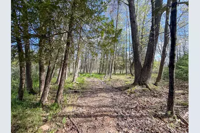 V/L 3 Mile Road, Sears, MI 49679 - Photo 6