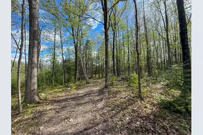 V/L 3 Mile Road, Sears, MI 49679 - Photo 18