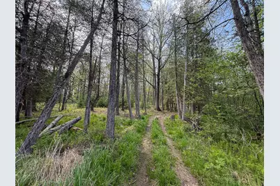 V/L 3 Mile Road, Sears, MI 49679 - Photo 22