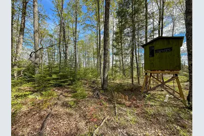 V/L 3 Mile Road, Sears, MI 49679 - Photo 14