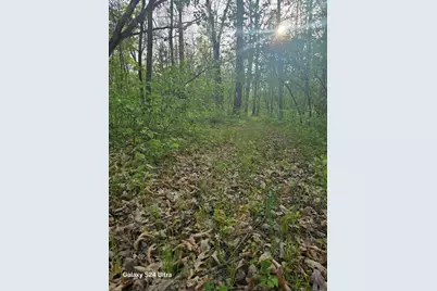 5042 W Jeffers Street #Par 4, Irons, MI 49644 - Photo 4