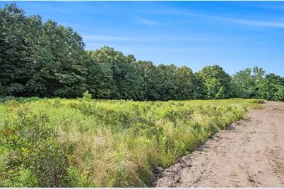 59385 Benny Court #Parcel 2, Grand Junction, MI 49056 - Photo 6
