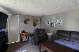 12495 5 Mile Rd, Evart, MI 49631 - Photo 16