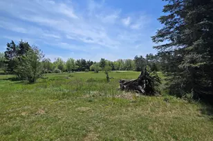 12495 5 Mile Rd, Evart, MI 49631 - Photo 68