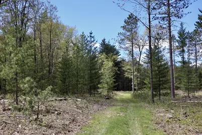 5826 S Morrison Road, Alger, MI 48610 - Photo 60