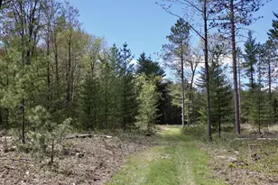 5826 S Morrison Rd, Alger, MI 48610 - Photo 60