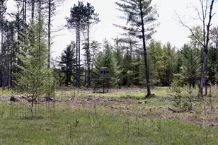 5826 S Morrison Rd, Alger, MI 48610 - Photo 56