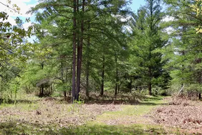 La Grant Road, Alger, MI 48610 - Photo 22