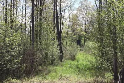 La Grant Road, Alger, MI 48610 - Photo 32