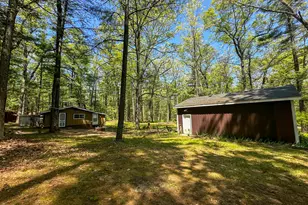 8923 W Toma Trail, Irons, MI 49644 - Photo 24