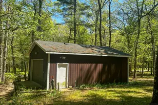 8923 W Toma Trail, Irons, MI 49644 - Photo 4