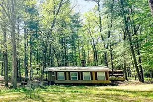 8923 W Toma Trail, Irons, MI 49644 - Photo 1