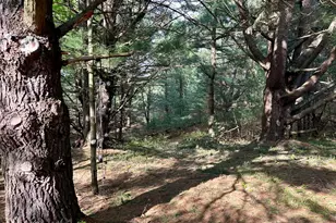 3601 Madison Rd, Manistee, MI 49660 - Photo 38
