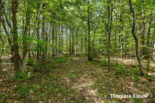 6969 E Pontaluna Rd, Fruitport, MI 49415 - Photo 42