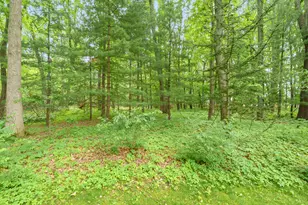 8001 Greenfield Shores Dr, Scotts, MI 49088 - Photo 30