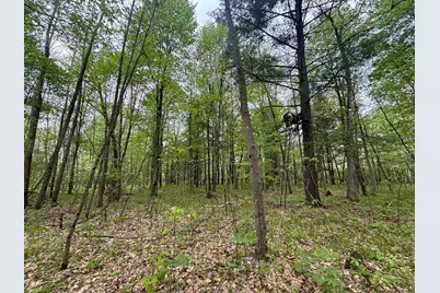 V/L 12.19 Rapp Drive, Grant, MI 49327 - Photo 30