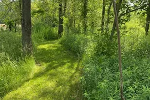 9007 Lake Rd, Berrien Center, MI 49102 - Photo 26