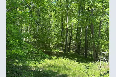9800 Avenue C #--Vacant  Land--, Mecosta, MI 49332 - Photo 4