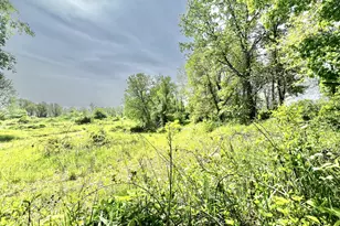 16400 28 Mile Rd, Albion, MI 49224 - Photo 54