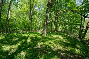 4658 W Fern Gln, Fremont, MI 49412 - Photo 66