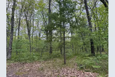 Harris Road, Wellston, MI 49689 - Photo 4