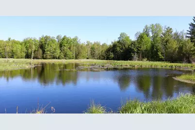 11547 E 1 Mile Road, Leroy, MI 49655 - Photo 10
