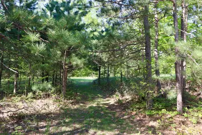 11547 E 1 Mile Road, Leroy, MI 49655 - Photo 60