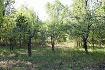 11547 E 1 Mile Road, Leroy, MI 49655 - Photo 58
