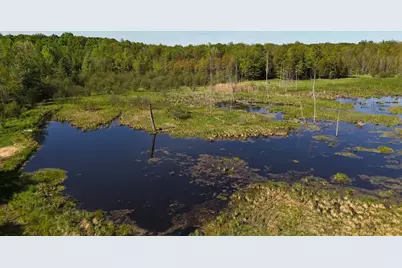 11547 E 1 Mile Road, Leroy, MI 49655 - Photo 52