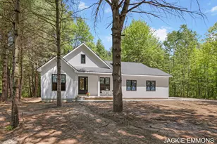 22672 W Kendaville Rd, Pierson, MI 49339 - Photo 2