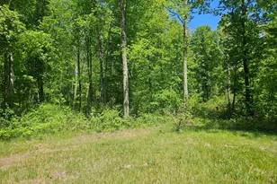 92 N Elm Ave, White Cloud, MI 49349 - Photo 28