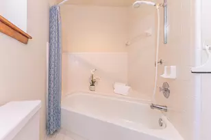 2401 Placid Way, Ann Arbor, MI 48105 - Photo 34