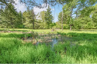 V/L 220th Avenue, Big Rapids, MI 49307 - Photo 6