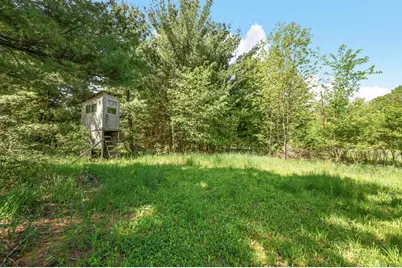 V/L 220th Avenue, Big Rapids, MI 49307 - Photo 2