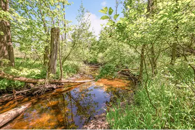 V/L 220th Avenue, Big Rapids, MI 49307 - Photo 4